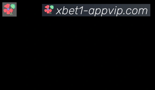 1xbet体育合作伙伴